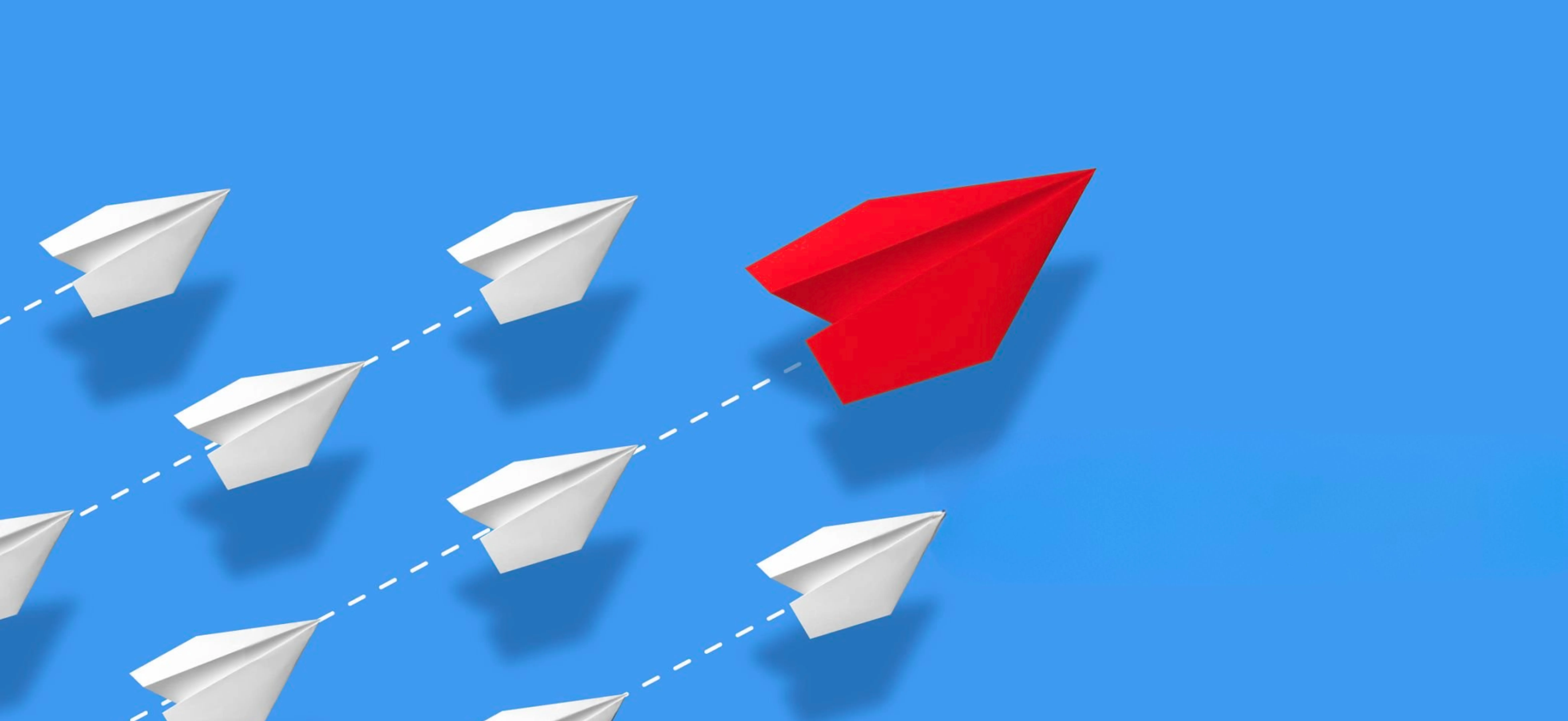 Team working across disciplines in a meeting